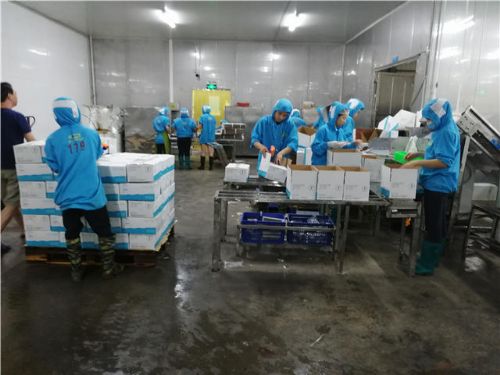 专业验厂 生产环境检查,第三方商品检查报告 第三方